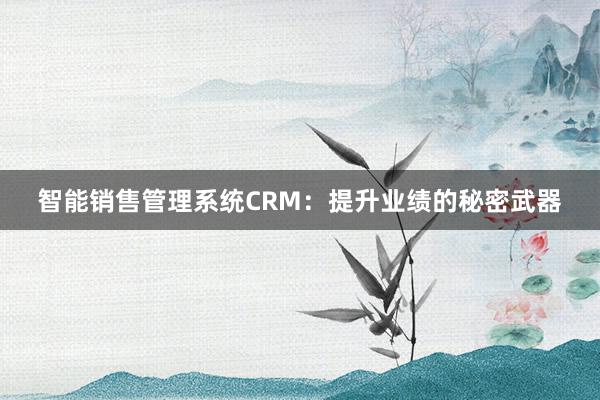 智能销售管理系统CRM：提升业绩的秘密武器